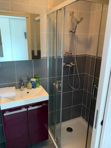Petit Studio Dans Villa Bord De Lac Aix-les-Bains Ngoại thất bức ảnh